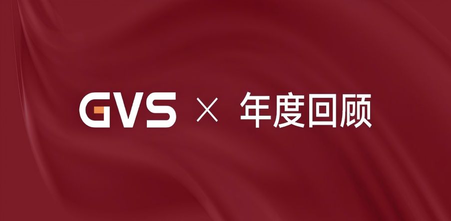 GVS 2024年終總結(jié)，請(qǐng)您查收